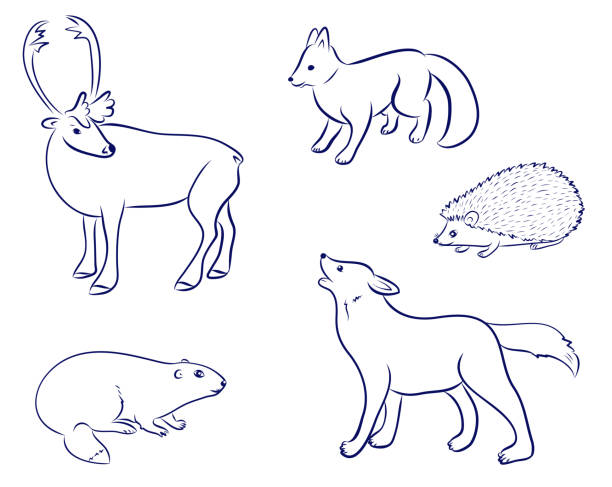 Cartoon Forest Animals Set Deer Wolf Fox Hedgehog Beaver Hand Drawn Doodle  Vector Illustrations Vector Eps 10 Collection By Hand Stock Illustration -  Download Image Now - iStock