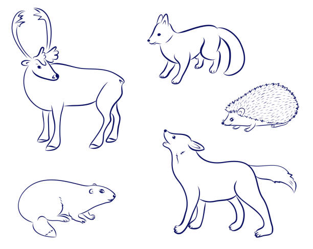 Cartoon Forest Animals Set Deer Wolf Fox Hedgehog Beaver Hand Drawn Doodle Vector Illustrations Vector Eps 10 Collection By Hand Stock Illustration - Download Image Now - iStock Cartoon Forest Animals Set Deer Wolf Fox Hedgehog Beaver Hand Drawn Doodle Vector Illustrations Vector Eps 10 Collection By Hand Stock Illustration - Download Image Now - iStock
