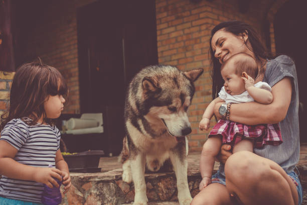 istock Mother playing with her two little daughters and their malamute dog 1203755813