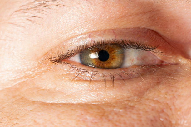 istock Close-up of human eye 1203758182