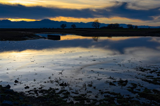 istock Kerkini Lake in Greece 1203759446