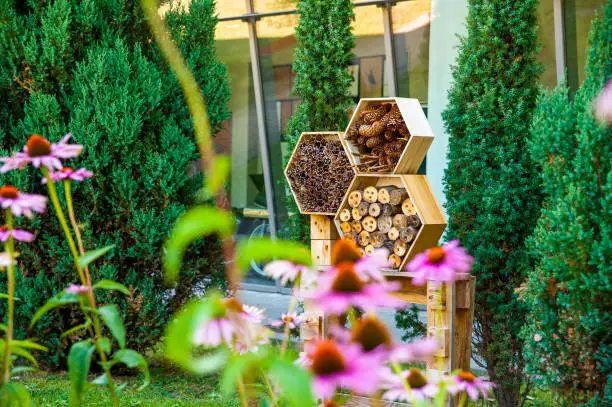 Shelter for insects made with natural materials in the city park.