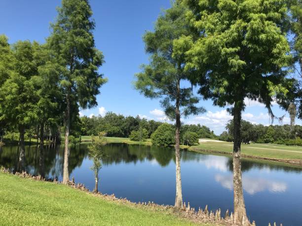 istock Golf retreat relfecltions 1203766197