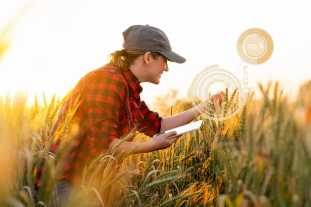 istock A woman farmer with digital tablet. 1203766852