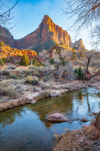 The Last Light of the Day on the Watchman and the Virgin River Zion Canyon, Zion National Park, Utah, USA virgin river stock pictures, royalty-free photos & images