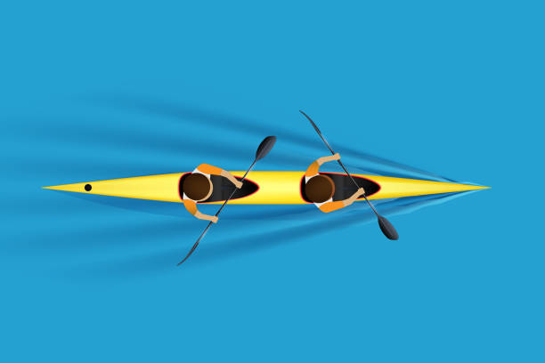 ilustrações, clipart, desenhos animados e ícones de sprint double kayak com remador - double row