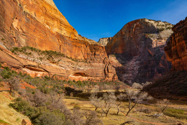 cable mountain et weeping rock dans le canyon de zion - waterfall rock mountain bright photos et images de collection