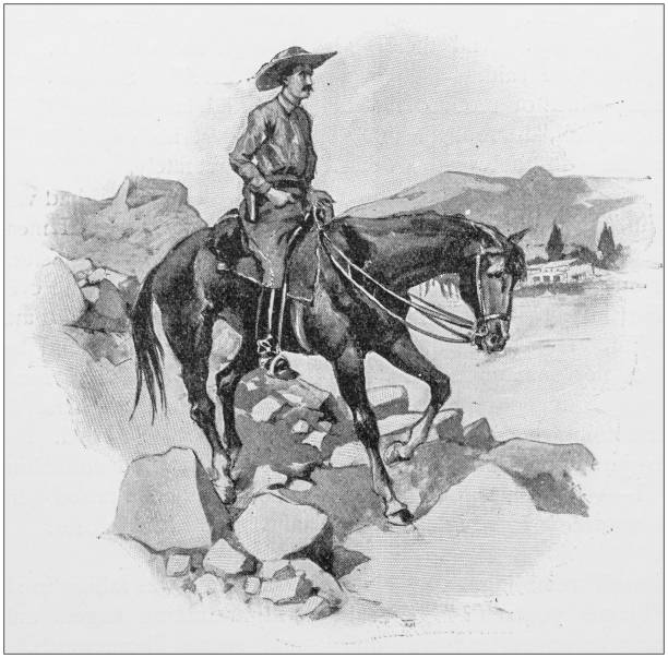 골동품 일러스트: 카우보이 - illustration and painting animal cowboy horse stock illustrations