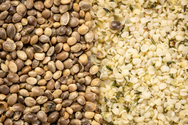 dry hemp seed and hearts closeup background, superfood concept