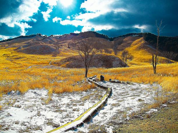 istock Japanese landscape900 Winter plateau 1203773472