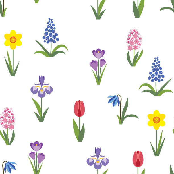 illustrations, cliparts, dessins animés et icônes de fleurs de printemps motif sans couture. crocus, tulipe, jacinthe, muscari, scilla, narcisse et iris sur fond blanc. illustration florale de vecteur. style simple plat. - campanula bluebell backgrounds white