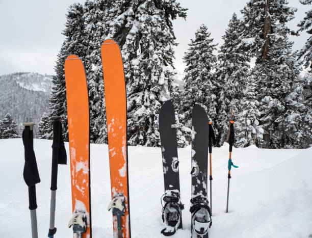 istock Mountain skis, splitboard and poles in snow 1203774890