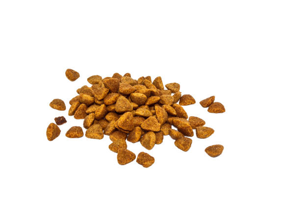 istock Brown dry cat food 1203775751