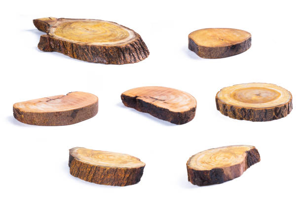 istock Side view of rustic wooden log stem cutting boards isolated on white background 1203776034