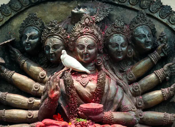 Photo of A white pigeon offering its prayers to the goddess by sitting on her garland in a way like it is protecting her in a temple in Assam, seeking shelter from sun on a hot day