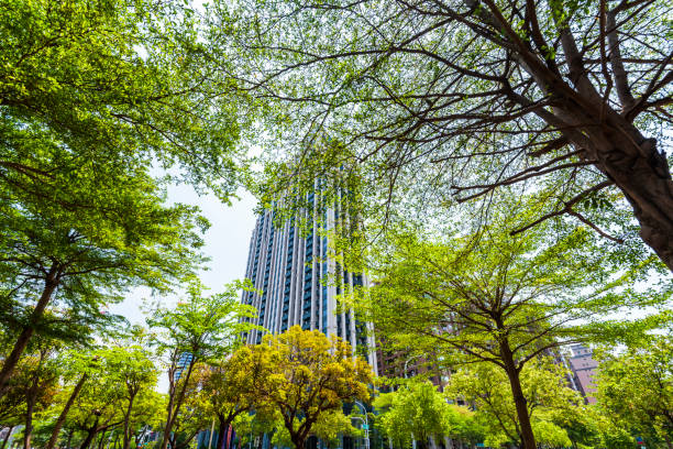 istock Green trees in the park 1203777220
