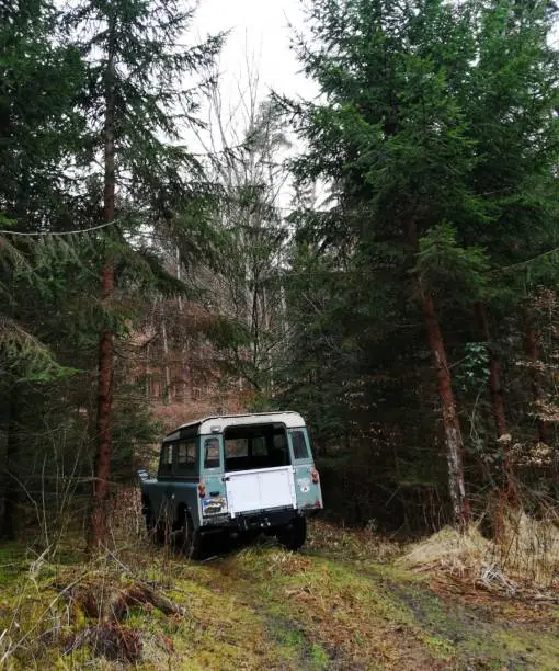 Landrover from a hunter in deep forestground