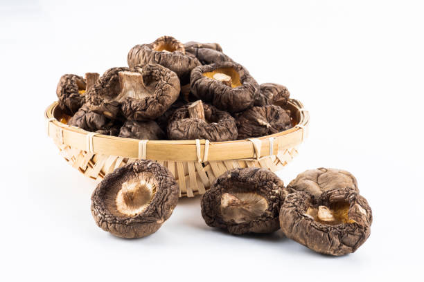 сухие грибы шиитаке, изолированные на белом фоне. - shiitake mushroom edible mushroom mushroom dry стоковые фото и изображения