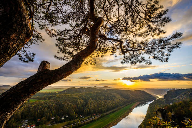 istock view at the famous bastei hills 1203778968