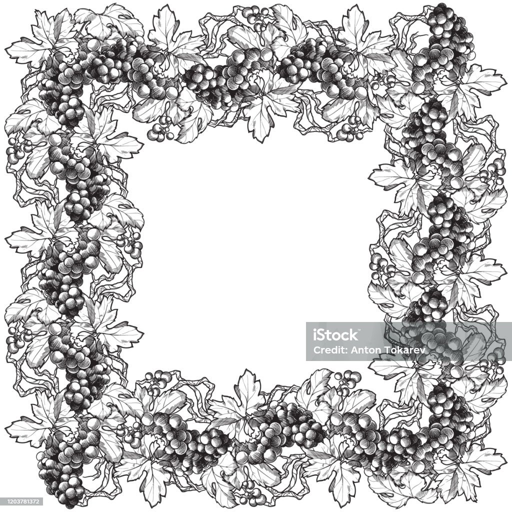 Rectangular Frame Grapes Grapes Clusters With Leaves Decorative Rectangular Frame Stock ...