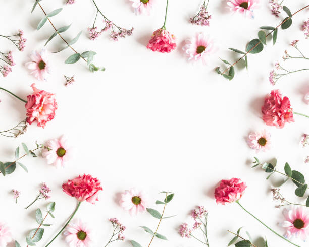 istock Flowers composition. Frame made of pink flowers and eucalyptus branches on white background. Valentines day, mothers day, womens day concept. Flat lay, top view 1203781539