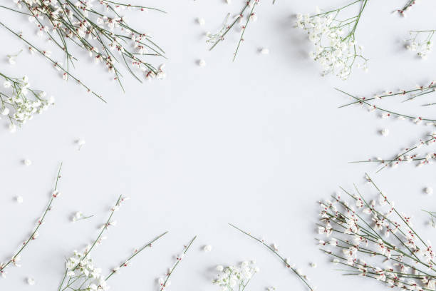 istock Flowers composition. White flowers on gray background. Spring concept. Flat lay, top view, copy space 1203781620