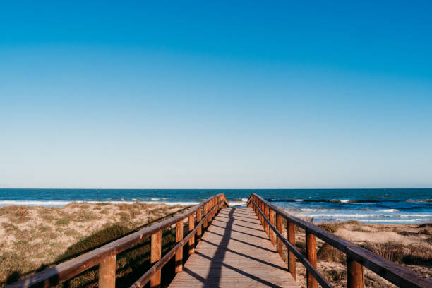 istock beautiful beach landscape at sunset. wooden bridge path. blue sky 1203782266