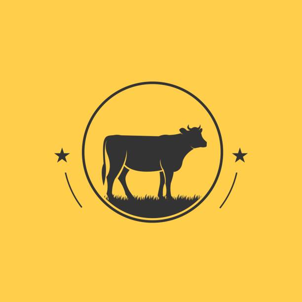 ilustraciones, imágenes clip art, dibujos animados e iconos de stock de plantilla vectorial de ilustración simmental - vacas