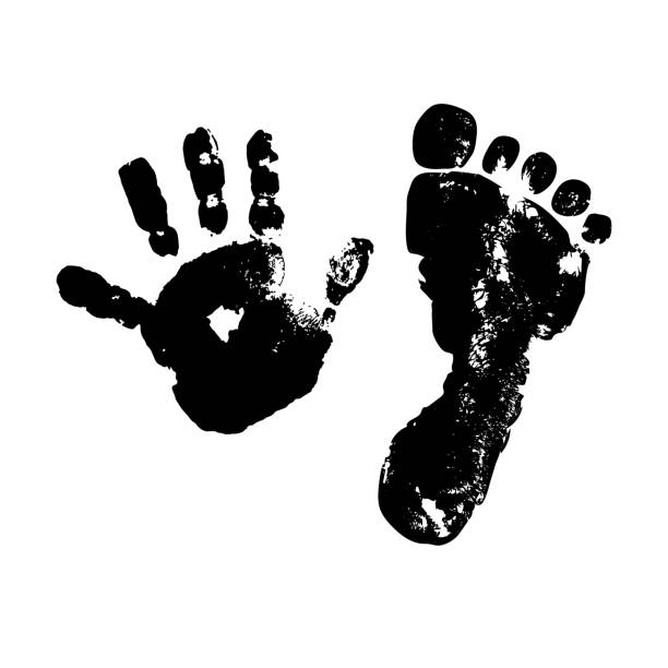 illustrations, cliparts, dessins animés et icônes de imprimez le palmier et le pied de bébé. silhouette d'isolement noire sur un fond blanc. peinture. dessin. modèle pour votre conception. illustration de vecteur de stock. enfants. enfance. texture grunge. - child art childs drawing painted image