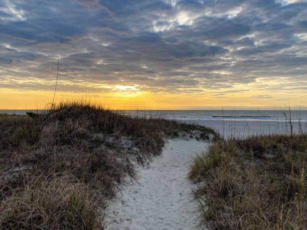 istock Path On Sand Dunes Heading Towards Ocean During Sunset 1203784165