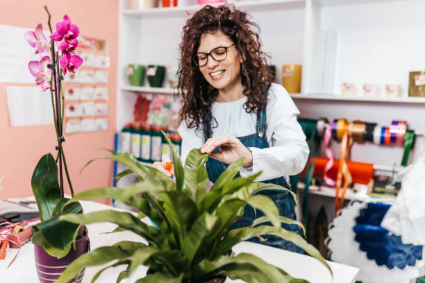 istock Young woman working in a flower shop 1203784367