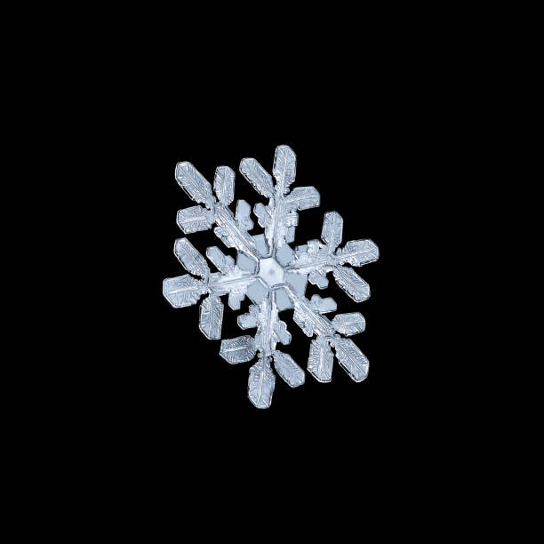 istock Snowflake close up on a black background 1203784655