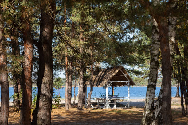 istock Gazebo with a table and benches 1203785684