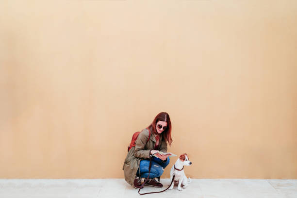 mujer joven y lindo perro jack russell en una ciudad buscando un mapa. concepto de viaje - lost pet fotografías e imágenes de stock