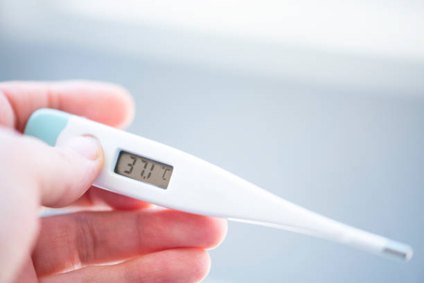 istock Female hand holds an electronic thermometer on a bokeh background. 1203787728