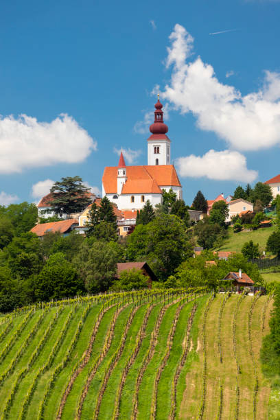 istock Town Straden and wineyards in Styria, Austria 1203790064