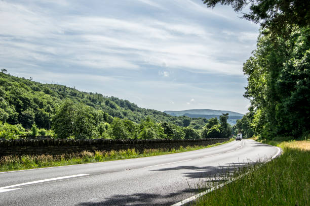 istock Road into Countryside with Trees 1203790625
