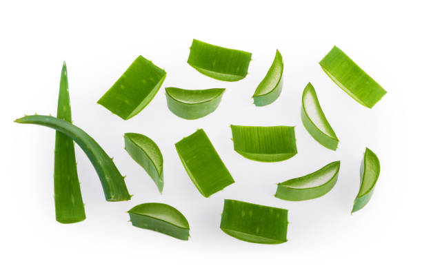 istock Aloe vera sliced plant isolated with clipping path 1203791347