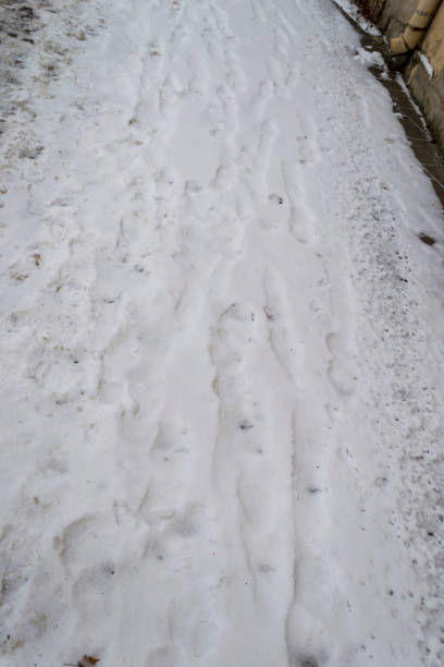 istock Fluffy White Snow on the Ground in Winter 1203791352