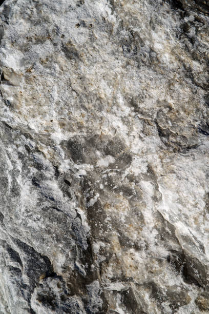 istock Cross section of rock 1203791454