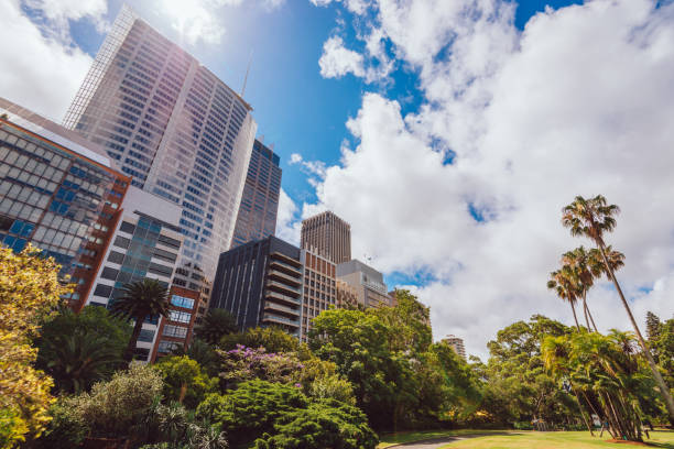 istock Sydney skyline and downtown 1203791624