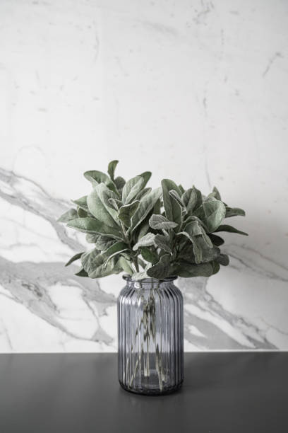 istock Isolated artificial plant in glass vase on gray spray-painted  working table with  marble wall in the background /apartment interior / Isolated photo 1203797023