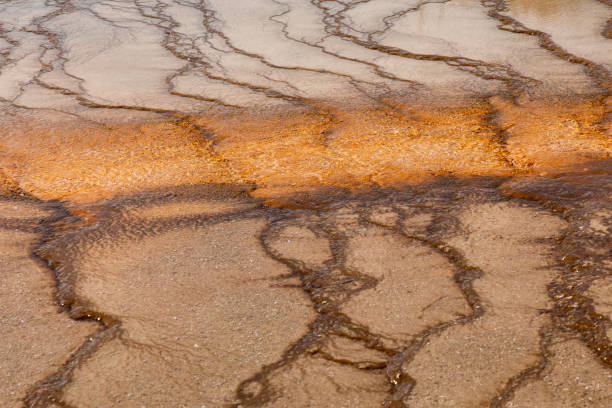istock Natural lines and patterns in a geyser basin, Yellowstone National Park 1203798574