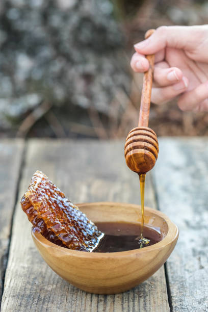 a large piece of honeycomb in a wood bowl filled with fresh and sweet organic honey - 3369 imagens e fotografias de stock