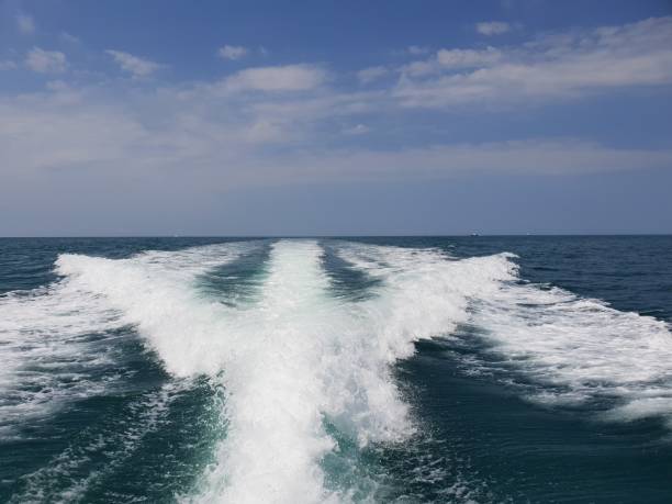 istock Sea Landscape in Sochi 1203803463