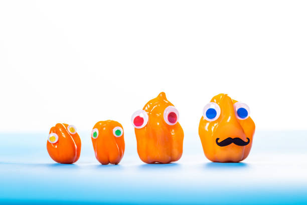 istock Food with Funny Faces and googly eyes 1203803729