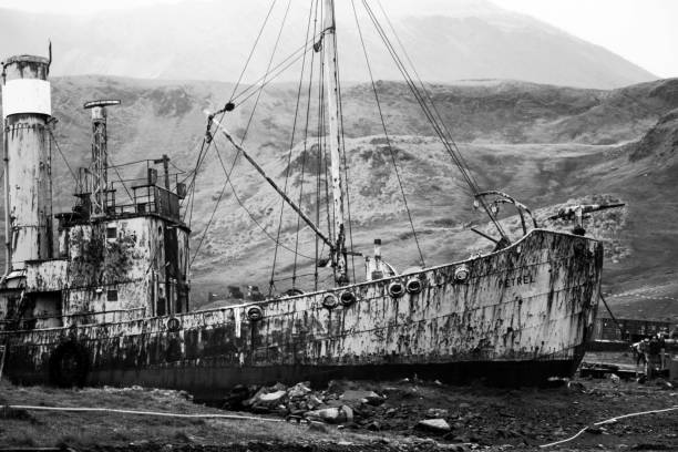 Whaler Ship Petrel Grytviken South Georgia, Grytviken: -05/03/2011 Petrel was a whaler who whales in the waters of Antarctica in 1928 for three decades. whaling stock pictures, royalty-free photos & images