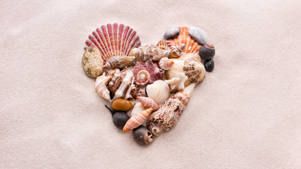 istock A heart made of small shells on beach sand love 1203805195