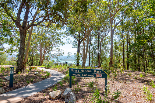 The pathway leading to Noosa National Park, Queensland, Australia
