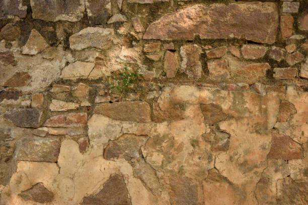 istock Stone Wall Texture Background stock photo 1203806192